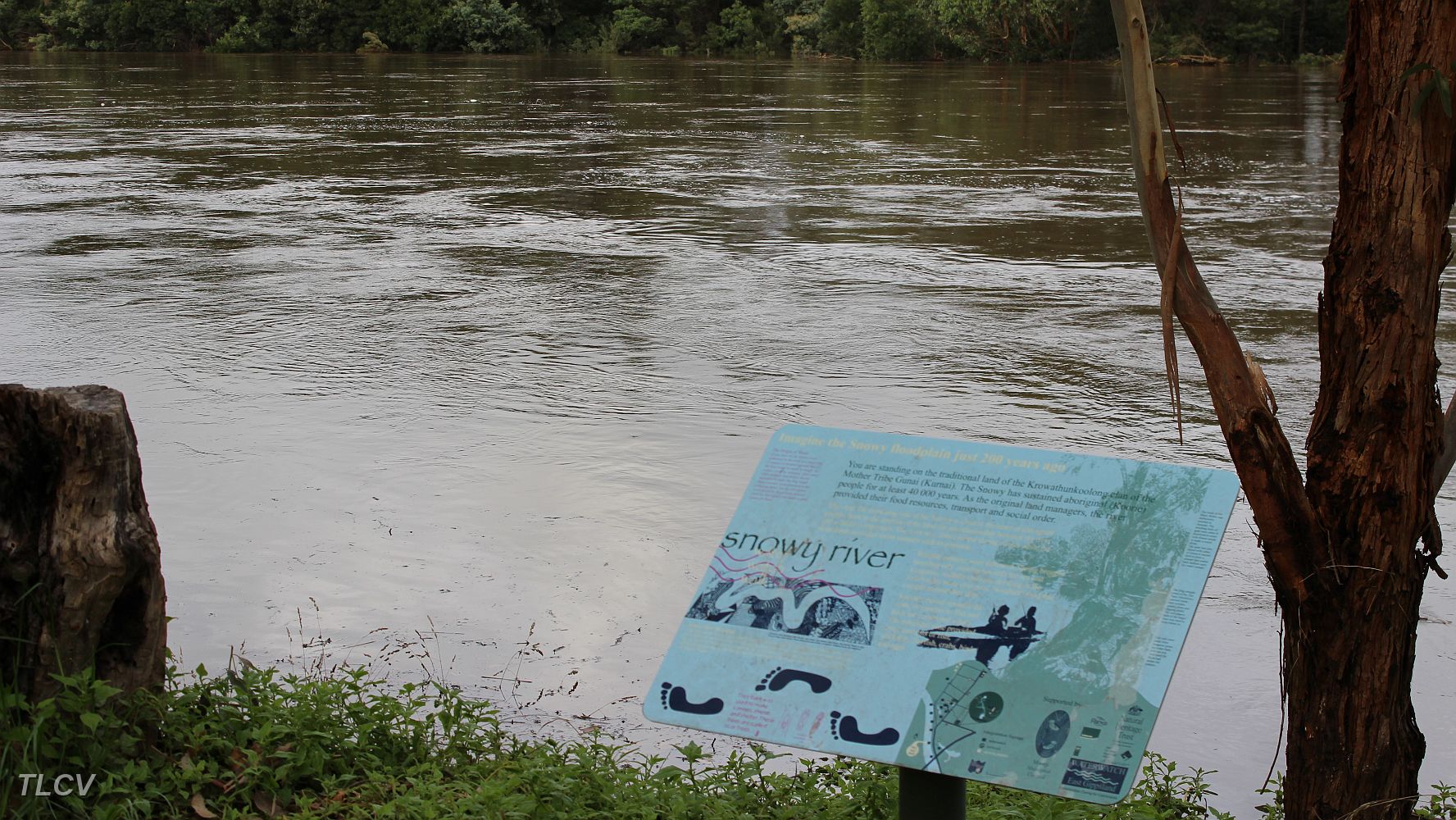 01-The Flooded Snowy River at Orbost.JPG